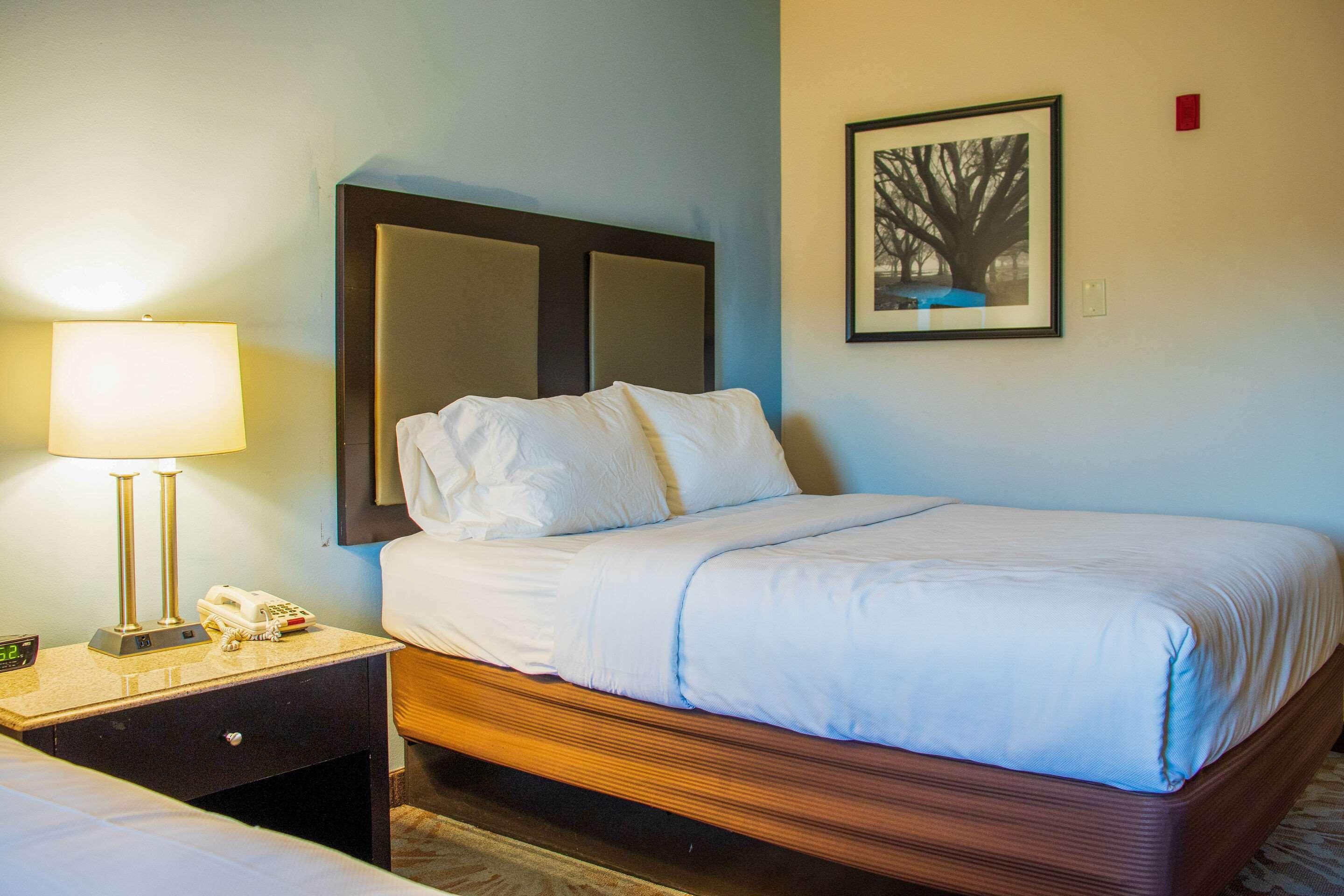 Comfort Inn & Suites Plainville-Foxboro Экстерьер фото